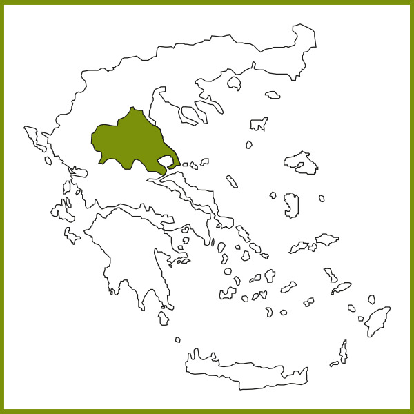 Tribute to Grape Harvest - Gastronomy Tours ΘΕΣΣΑΛΙΑ - Gastronomy Tours